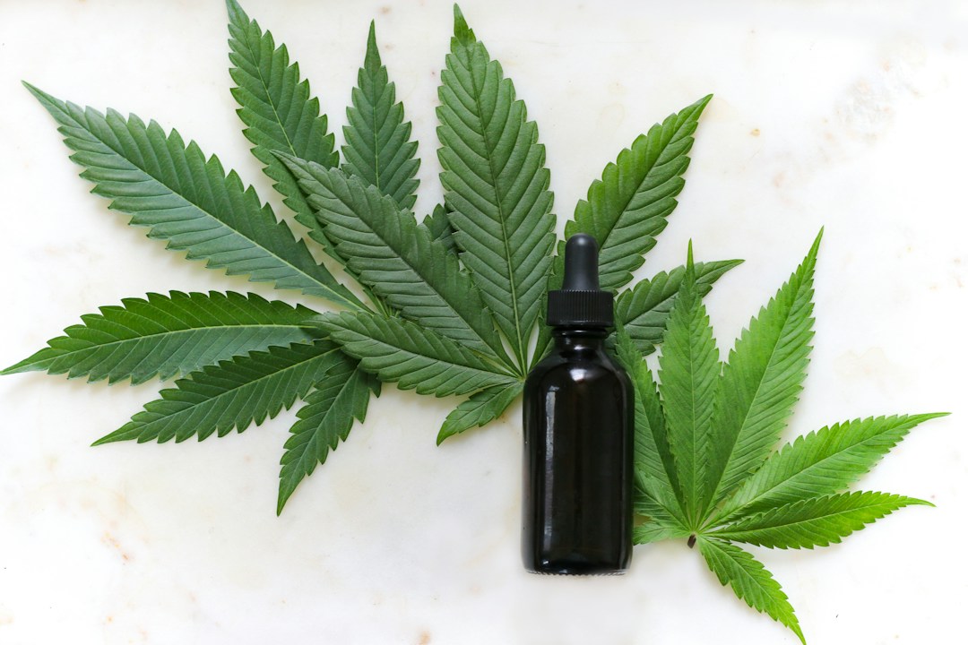 Why So Many Are Jumping on the CBD Trend 1 img