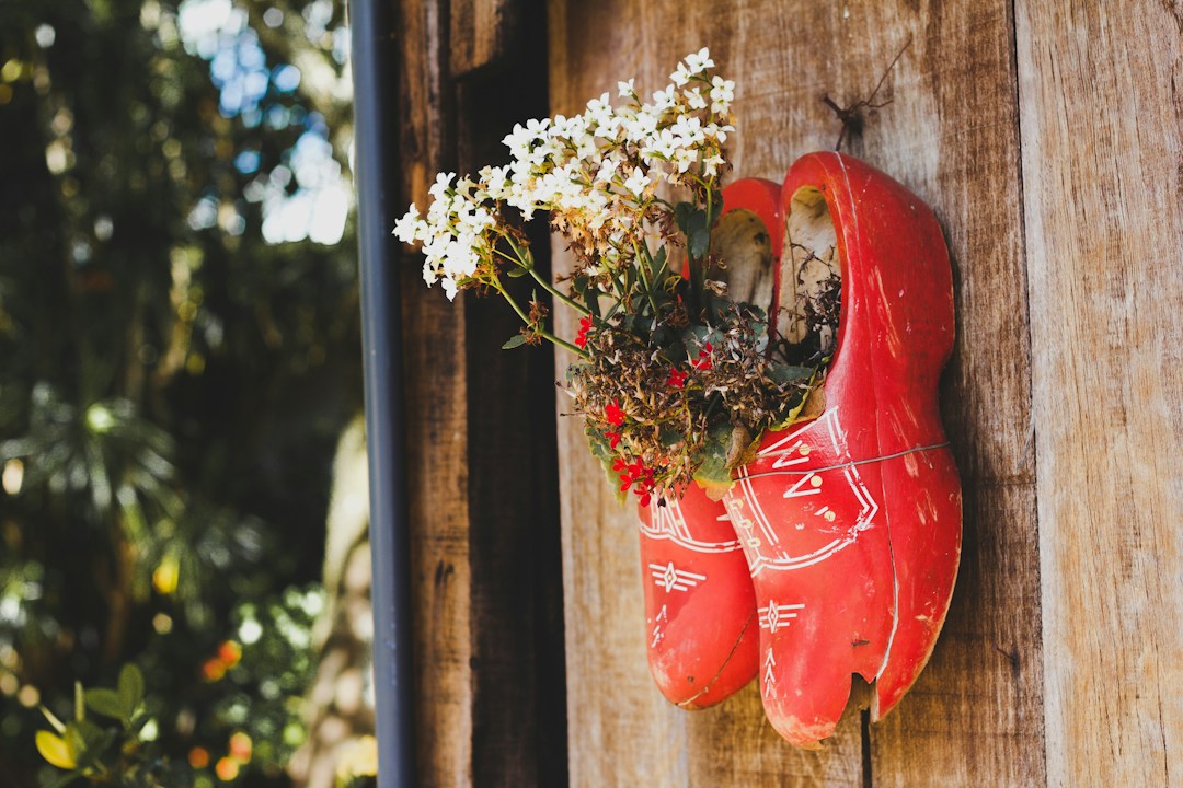 3 Signs You Need to Re-Pot Your Plants 3 img